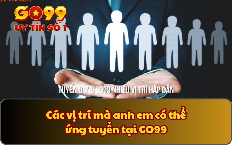 Các vị trí mà anh em có thể ứng tuyển tại GO99