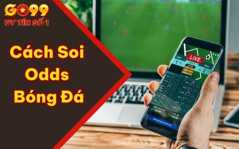 Odds là gì? Cách Soi Odds Bóng Đá Chia Sẻ Từ Chuyên Gia GO99