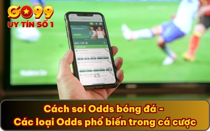 Cách soi Odds bóng đá - Các loại Odds phổ biến trong cá cược