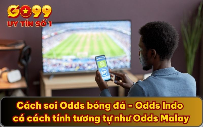 Cách soi Odds bóng đá - Odds Indo có cách tính tương tự như Odds Malay