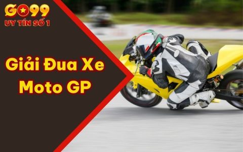 Cá Cược Giải Đua Xe Moto GP Là Gì? Luật Lệ, Cách Tham Gia