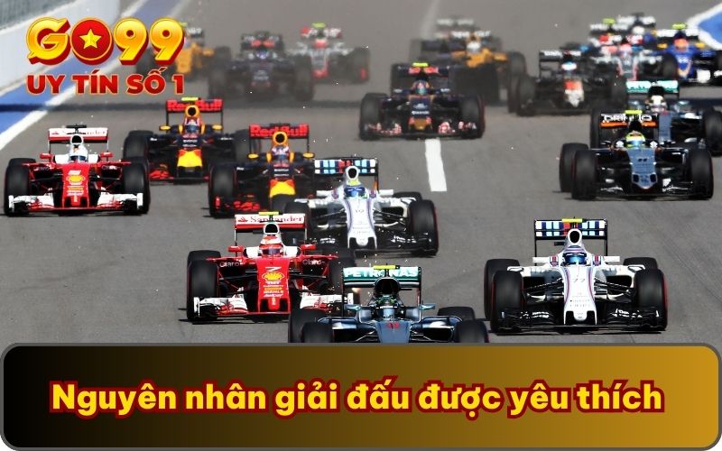 Nguyên nhân giải đấu được yêu thích