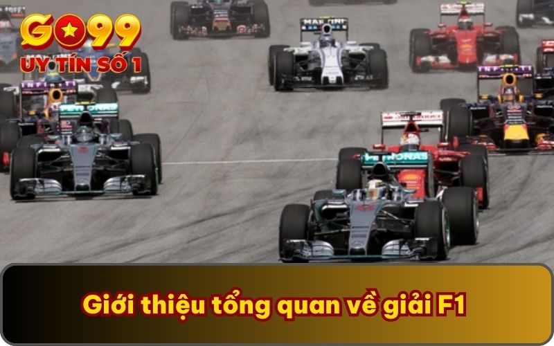 Quy tắc cược đua xe F1