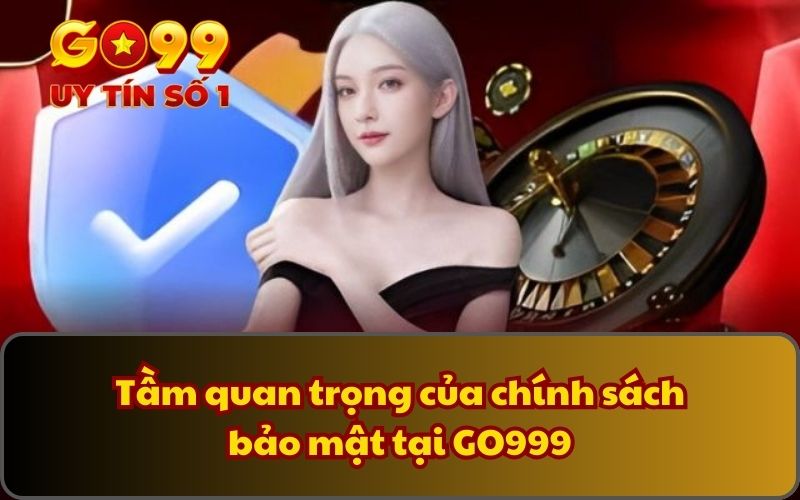 Tầm quan trọng của chính sách bảo mật tại GO999
